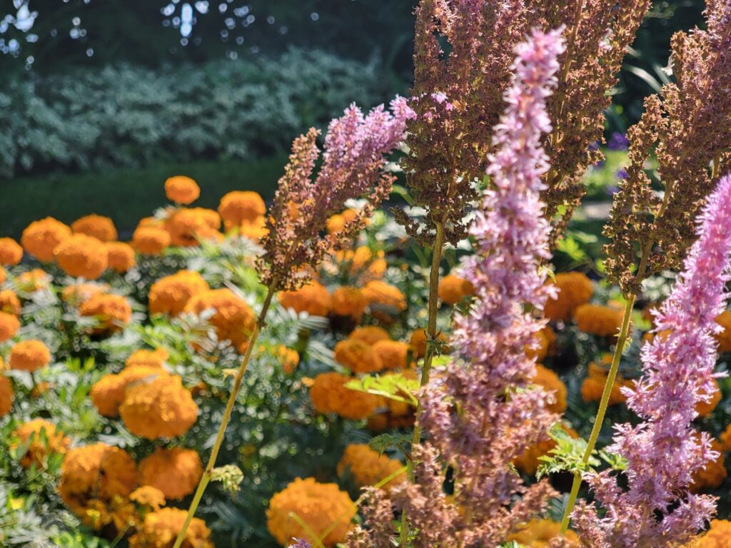 Interlake Garden Tour